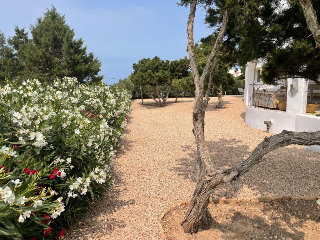 PHOTO-2026-02-10-15-30-53 4