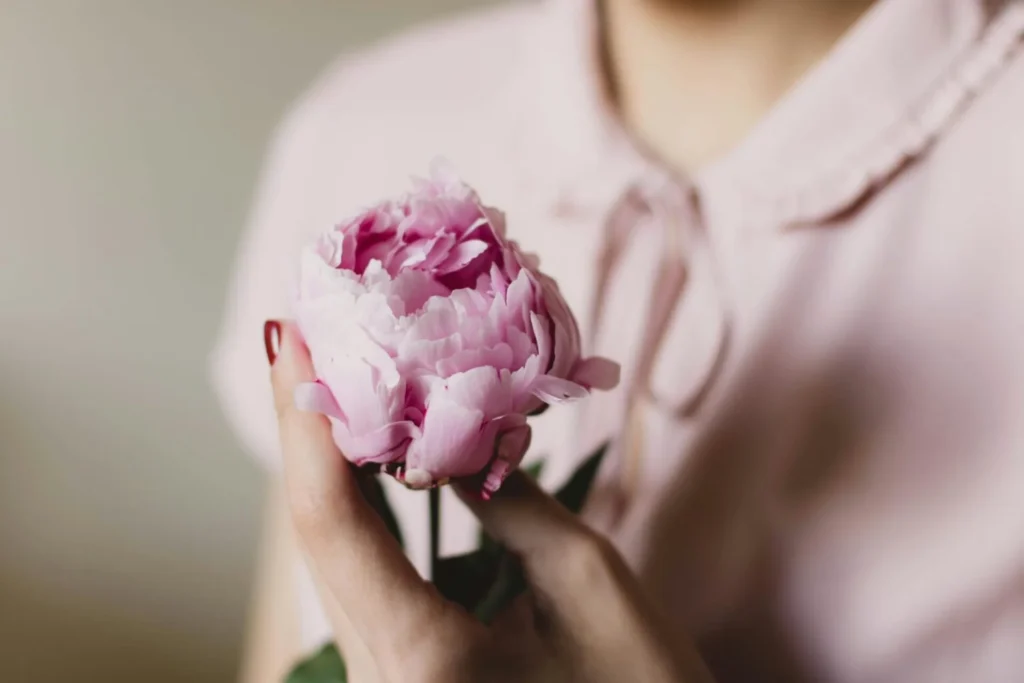 pexels-kpaukshtite-112324-1-1536x1024_1